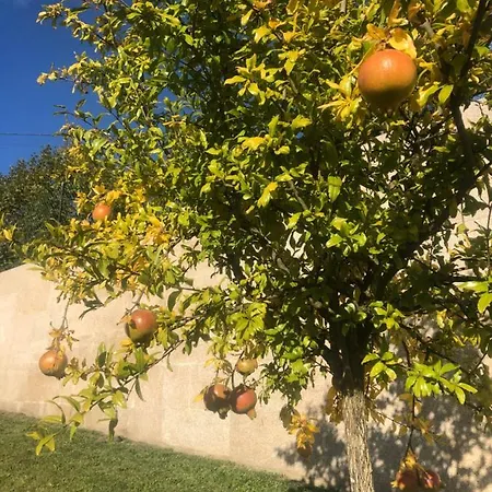 Basto * Кабесейраш-ди-Башту