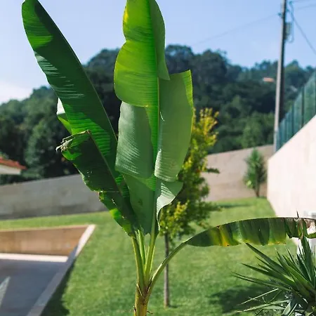 Villa Basto *