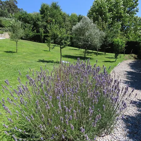 Basto Villa *