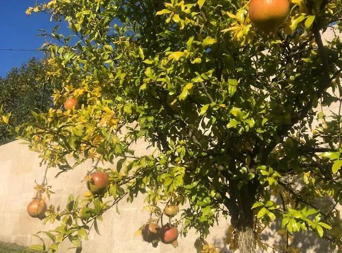 Basto * كابيسيراس دى باستو